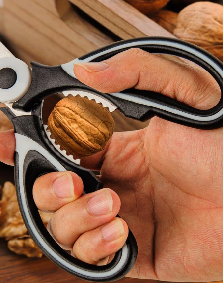 Heavy Duty Kitchen Shears for Precise Cutting