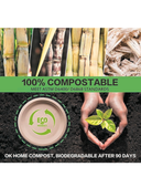 EcoHaven Plates – Earth-Conscious Dining with Zero Waste
